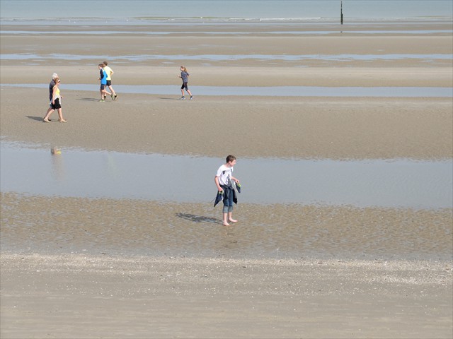 Viel Sand und mee(h)r